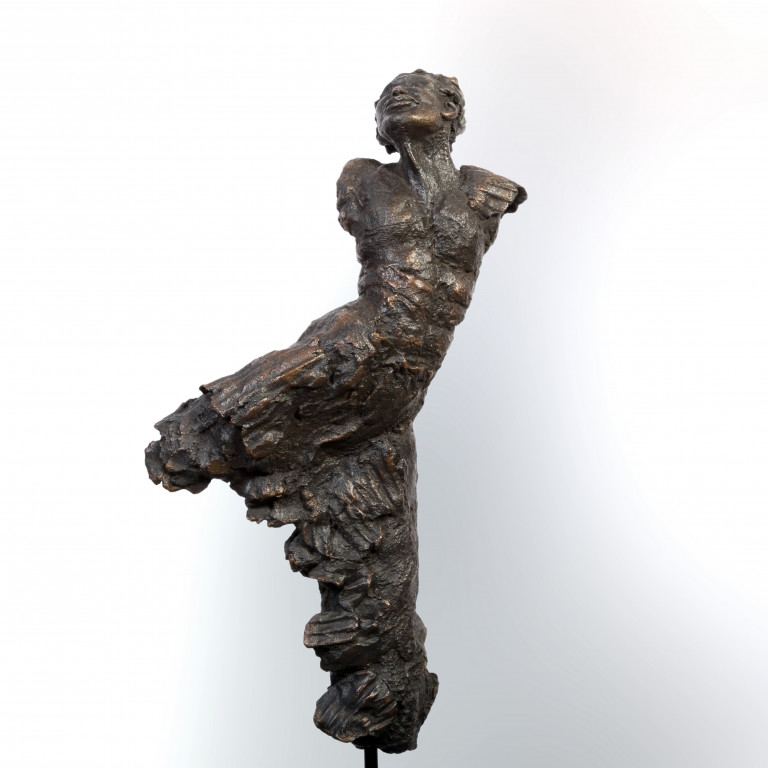 Envol 16 - bronze  1/8 par Nicole Besnainou (50x21x9 cm)